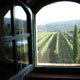 All Chianti Farmhouses