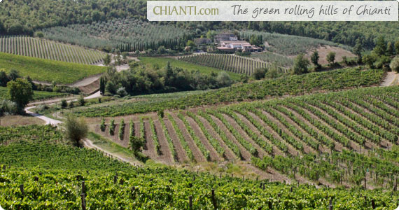 scopri le dolci colline del chianti