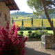 Fattoria Viticcio - Agriturismo in Chianti con Appartamenti