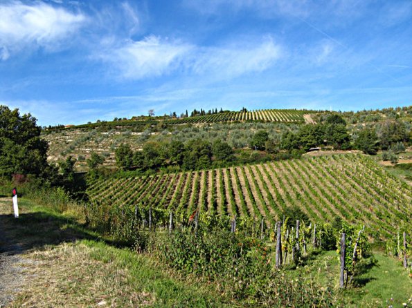 siena3
